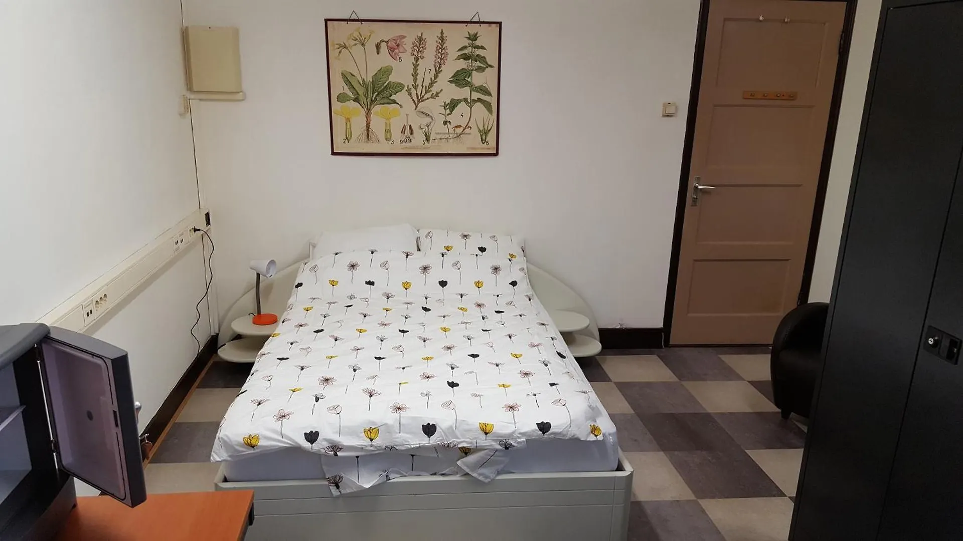 Peterson'S Rooms & Rentals Eindhoven Netherlands